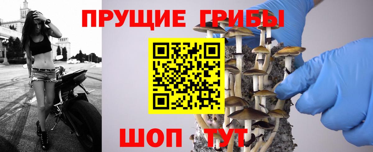 Галлюциногенные грибы Magic Shrooms Пенза