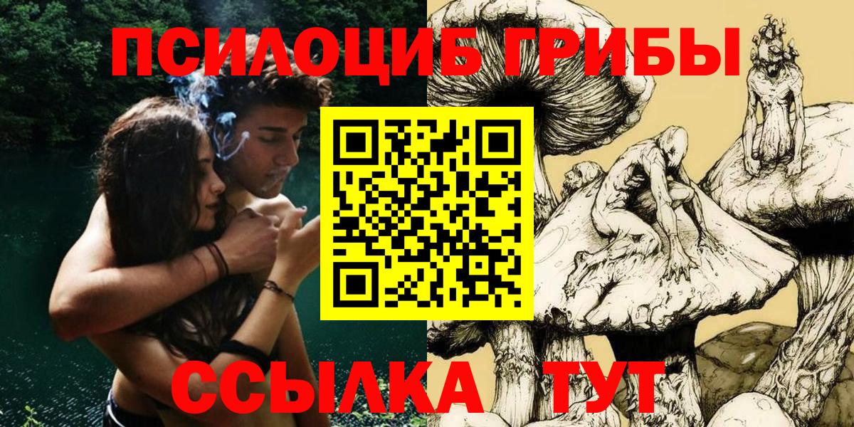 Псилоцибиновые грибы MAGIC MUSHROOMS  Псилоцибиновые грибы прущие грибы  Пенза  Вход с VPN 